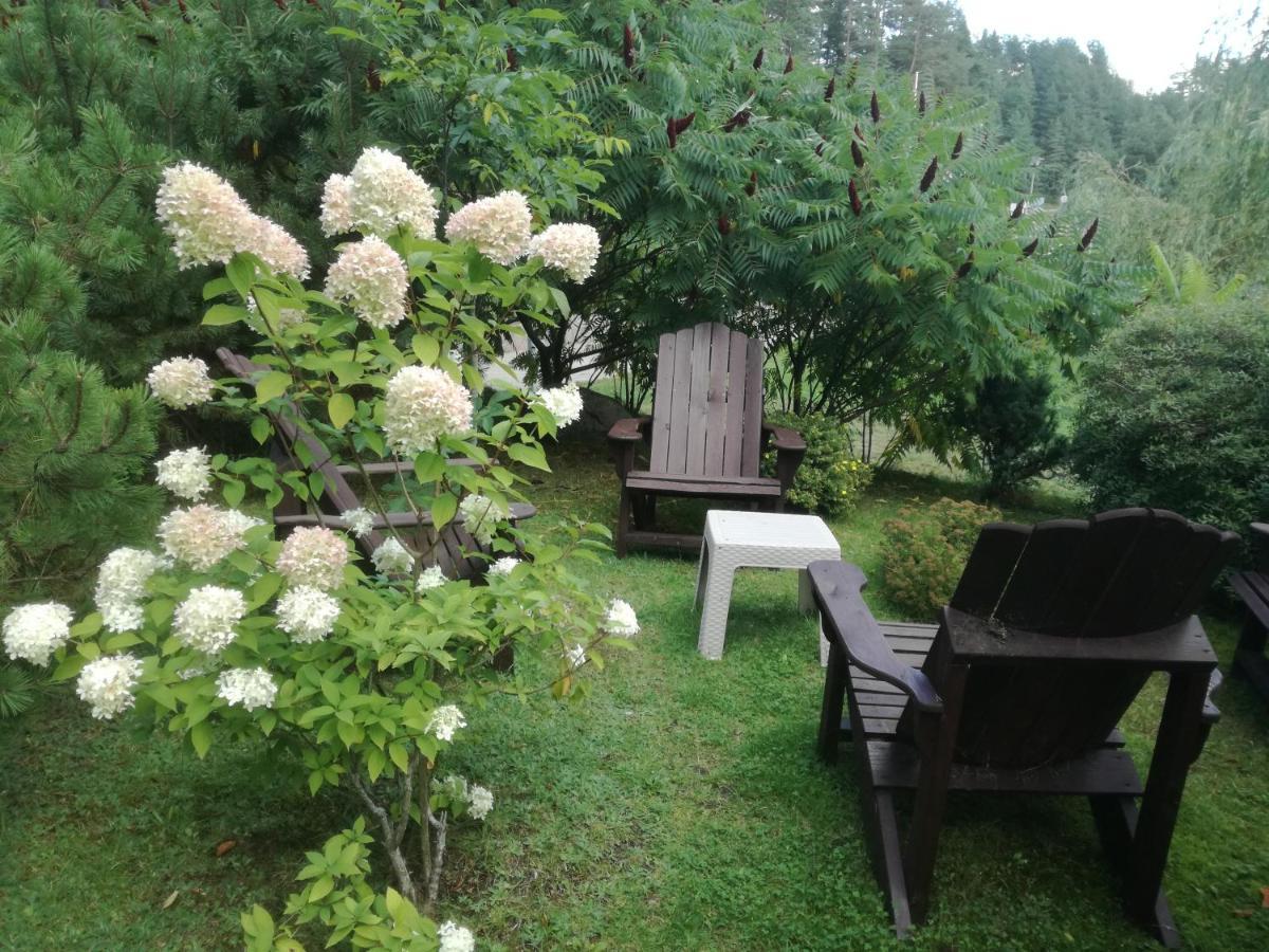 Sveciu Namai Aldaivita Ignalina Exterior foto